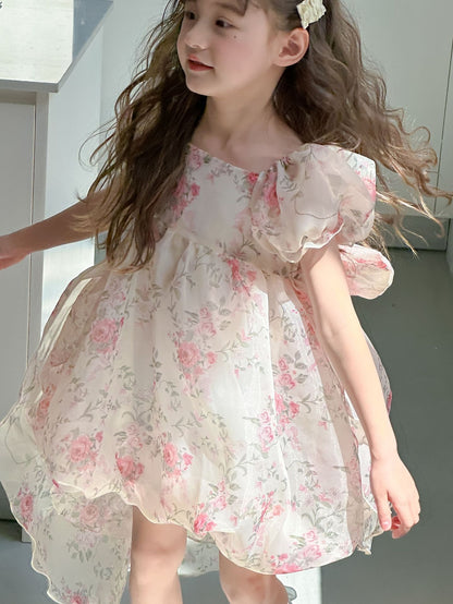 CJ4886夏季中大女童碎花蝴蝶結拖尾公主裙2024.06.28