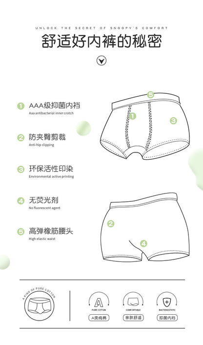 AK4148鱷魚圖案彈力棉男孩內褲2024.07.30