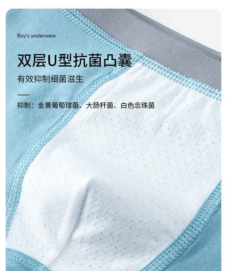 AK4149卡通猫熊透氣彈力棉平角兒童內褲2024.07.30