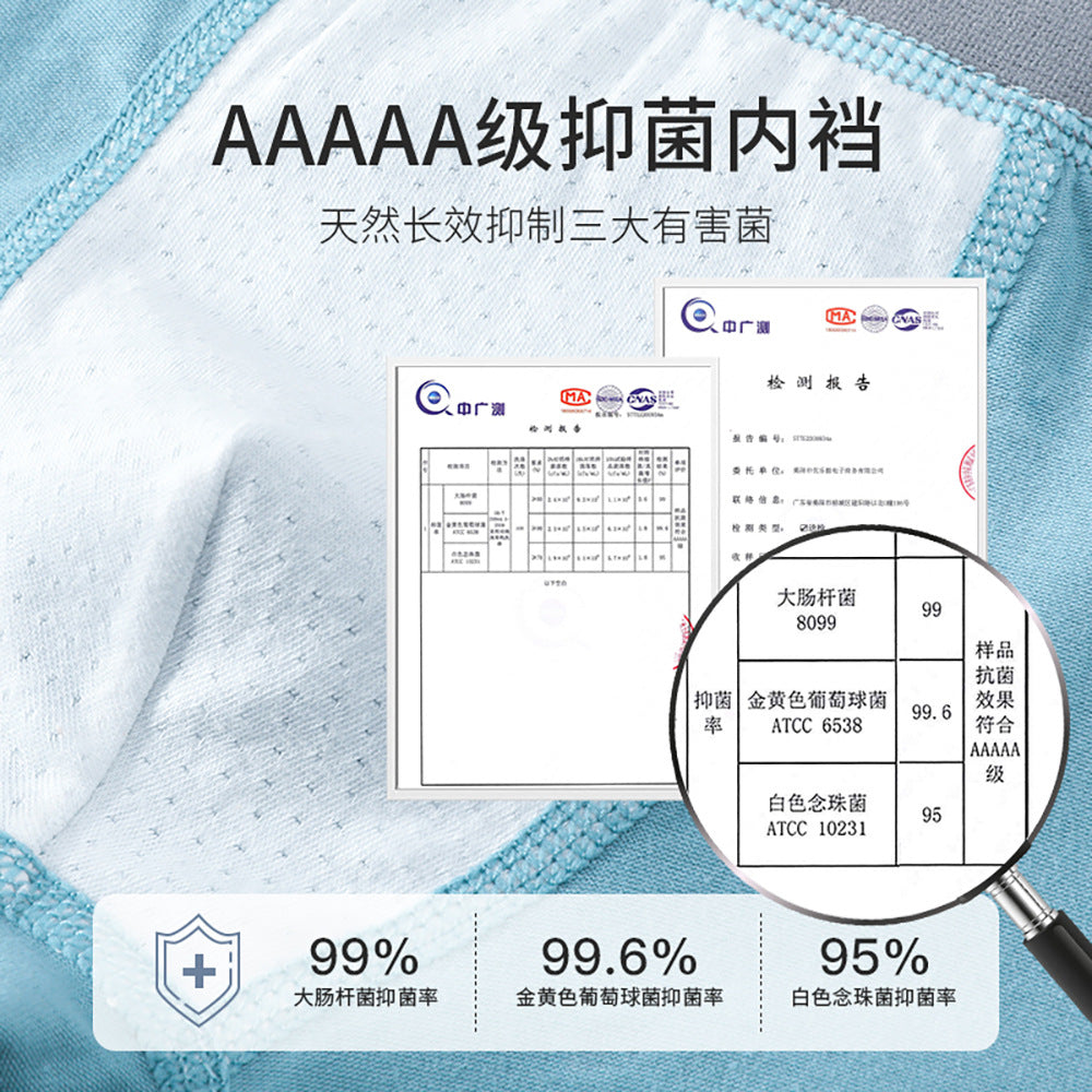 AK4149卡通猫熊透氣彈力棉平角兒童內褲2024.07.30