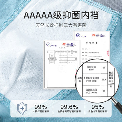 AK4149卡通猫熊透氣彈力棉平角兒童內褲2024.07.30